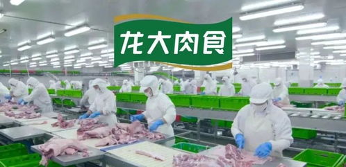 供需失衡下的蓝海机遇 解析有机肥市场补缺路径